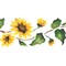 Sunflower Wall Stencil Border | 926 by Designer Stencils | Floral Stencils | Reusable Art Craft Stencils for Painting on Walls, Canvas, Wood | Reusable Plastic Paint Stencil for Home Makeover | Easy to Use & Clean Art Stencil